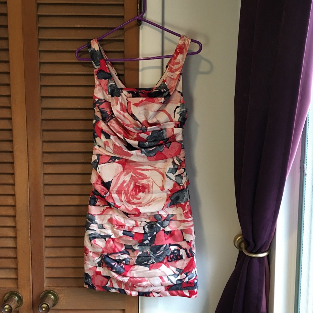 Express: Ruched Pink, Blue, & White Floral Dress